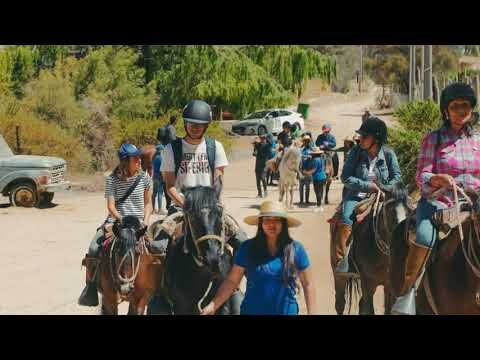 Explora las espectaculares cabalgatas en el Valle del Elqui