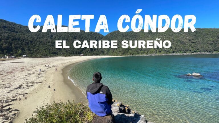 Explorando las Caletas del Sur de Chile: Tesoros Costeros