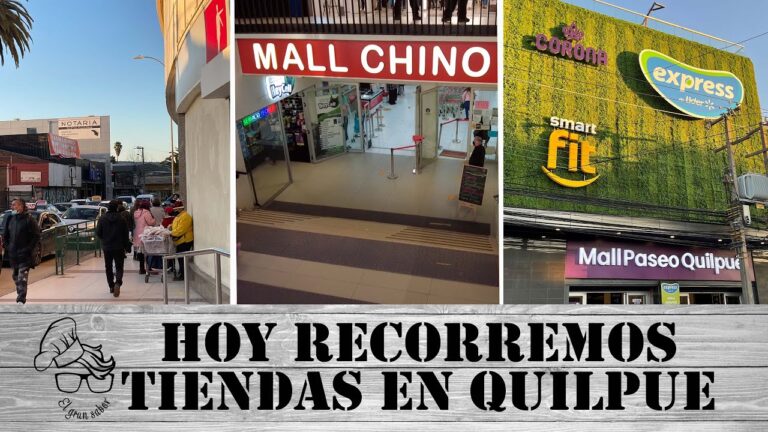 Descubre la Tienda China en Viña del Mar: Variedad y Ahorro