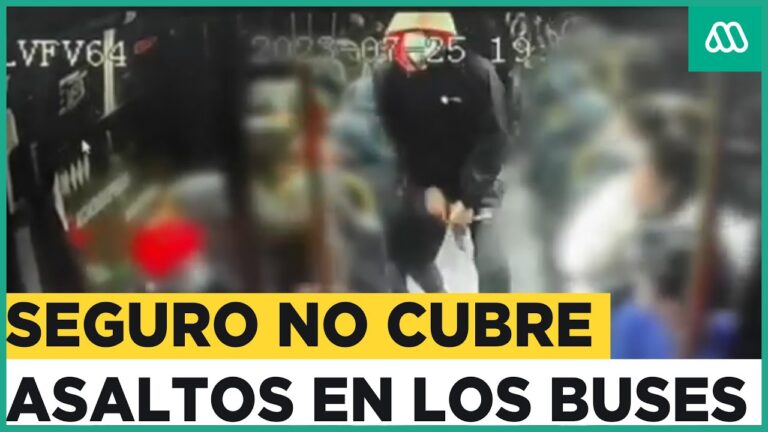 Minib&uacute;s Soap: Una Opci&oacute;n Particular para el Transporte