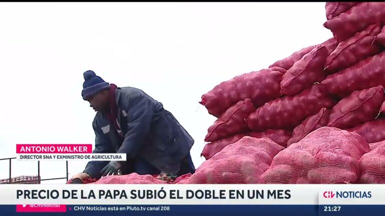 Gu&iacute;a de precios del saco de papas