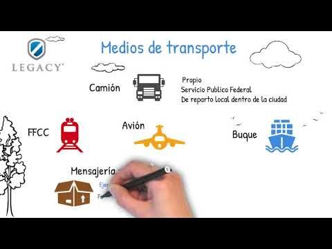 Guía Completa de Seguros para Transporte de Mercancías