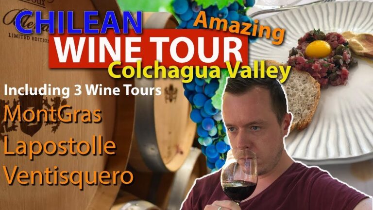 De Santiago al Valle de Colchagua: Un viaje inolvidable