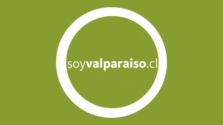 Descubre el Sabor de la Soja en Valparaíso CL