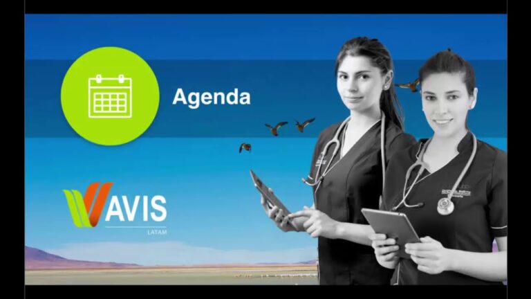 Cómo Ingresar a Avis Latam: Guía Rápida y Eficaz