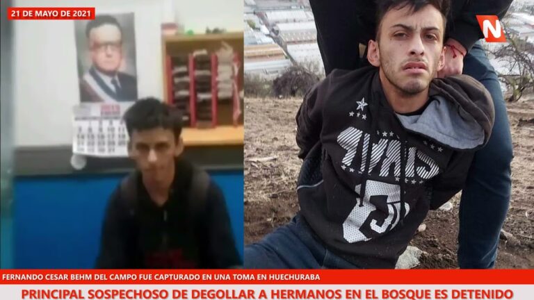La trayectoria de Fernando César Behm del Campo en el mundo empresarial