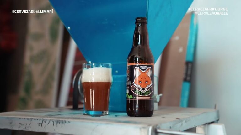 Descubre las Mejores Cervezas Artesanales de la Cuarta Regi&oacute;n
