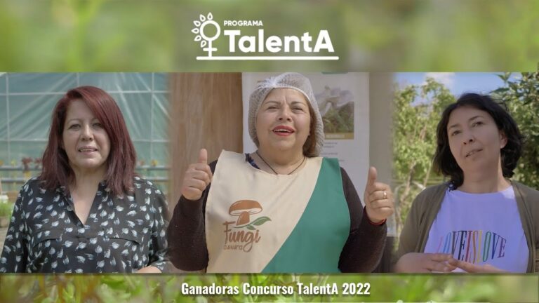 Mujeres Emprendedoras Chilenas: Impulsando el Cambio Empresarial