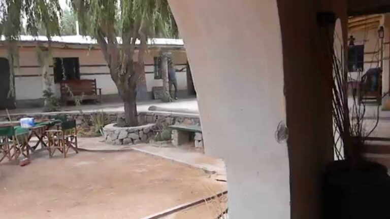 Descubre la Experiencia Única en Don Tomás Hostal