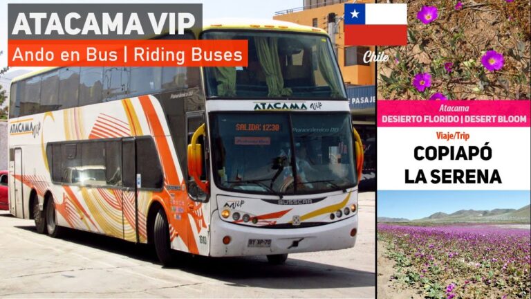 Buses VIP en Atacama: Comodidad y Estilo en el Viaje