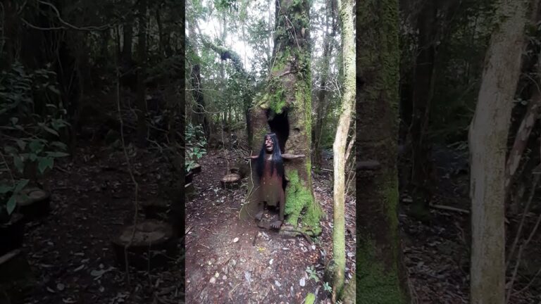 Descubre el Parque Mitológico de Chiloé: Un Viaje a la Fantasía Chilena